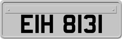 EIH8131