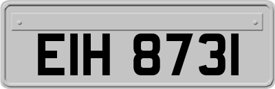 EIH8731