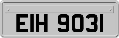 EIH9031