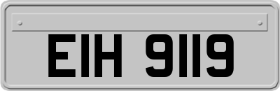 EIH9119
