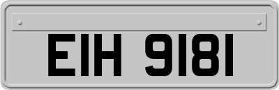 EIH9181