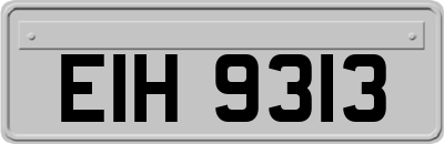EIH9313