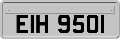 EIH9501
