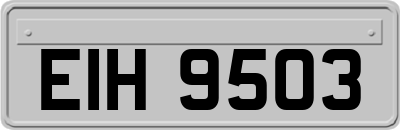 EIH9503