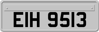EIH9513