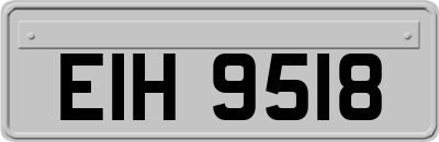 EIH9518