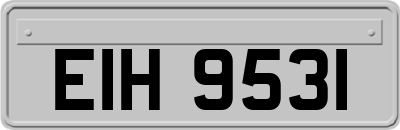 EIH9531