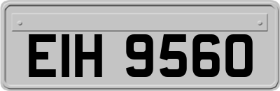 EIH9560