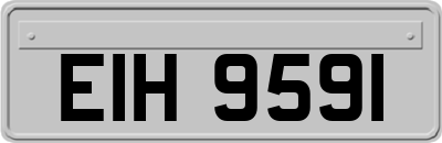 EIH9591