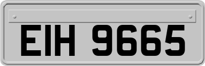EIH9665