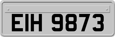 EIH9873