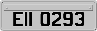 EII0293