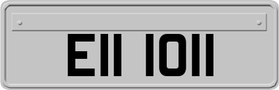 EII1011