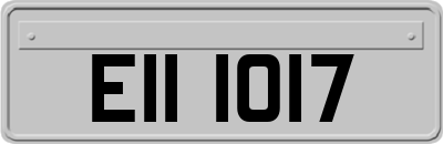 EII1017