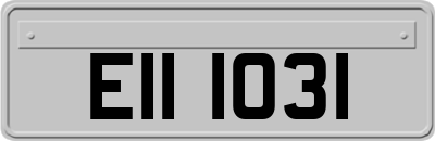 EII1031