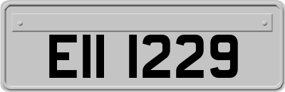 EII1229