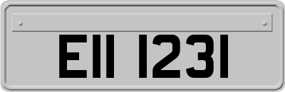 EII1231
