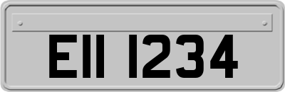 EII1234