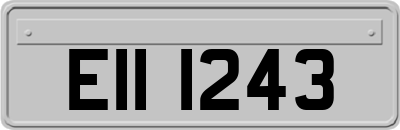 EII1243