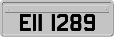 EII1289