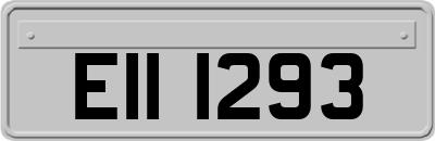 EII1293