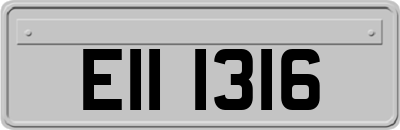 EII1316