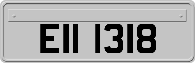 EII1318