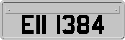 EII1384