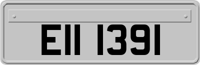 EII1391