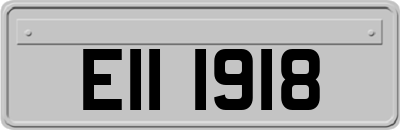 EII1918