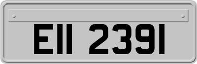 EII2391
