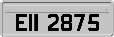 EII2875