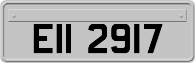 EII2917