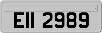 EII2989