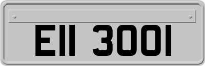 EII3001