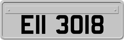 EII3018