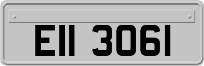 EII3061