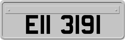 EII3191