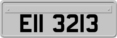 EII3213
