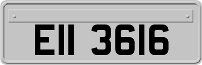 EII3616