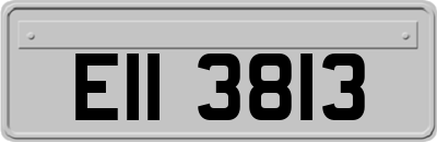 EII3813