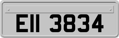 EII3834