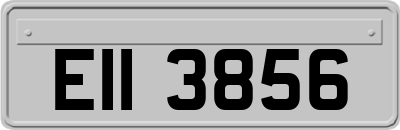 EII3856