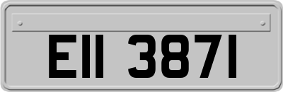 EII3871
