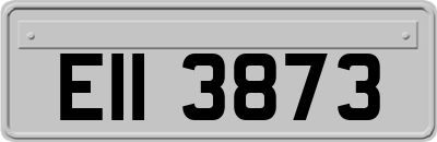 EII3873