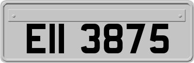 EII3875