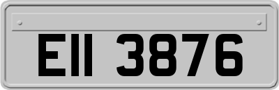 EII3876