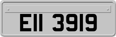 EII3919