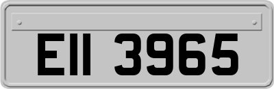 EII3965