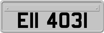 EII4031